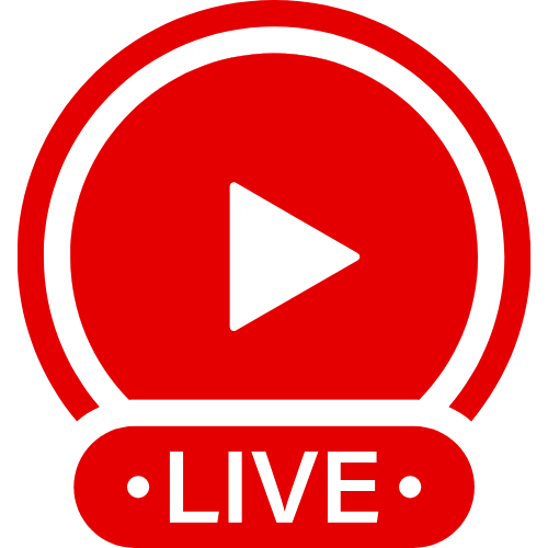 Anal Plug With Tail | Live Webcam Shows & Interactive Adult Entertainment